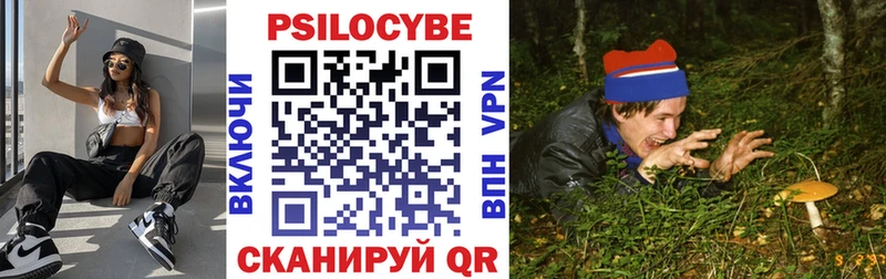 Псилоцибиновые грибы Psilocybine cubensis  Купить где  Моршанск 